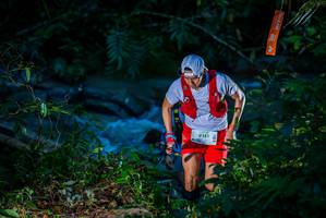 BIB: 111, 9141
                            <button type="button" onclick="openModal(19306688)" class="btn btn-primary btn-sm float-right btn-popup" data-toggle="modal" data-target=".modal-high-quality">
                        <i class="fas fa-shopping-cart"></i> Add to Cart
                    </button>
                                            <button type="button" onclick="isThisMe(19306688, true)" class="btn btn-success btn-sm float-right btn-popup btn-isme hidden" data-toggle="tooltip" data-placement="bottom" title="นี่คือรูปของคุณใช่ไหม คลิกที่นี่เพื่อเอาเข้าอัลบั้ม">
                        <i class="fas fa-plus"></i> Add to album
                    </button>
                    <button type="button" onclick="isThisMe(19306688, false)" class="btn btn-warning btn-sm float-right btn-popup btn-isnotme hidden">
                        <i class="fas fa-ban"></i> Remove from album
                    </button>